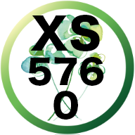 logo256